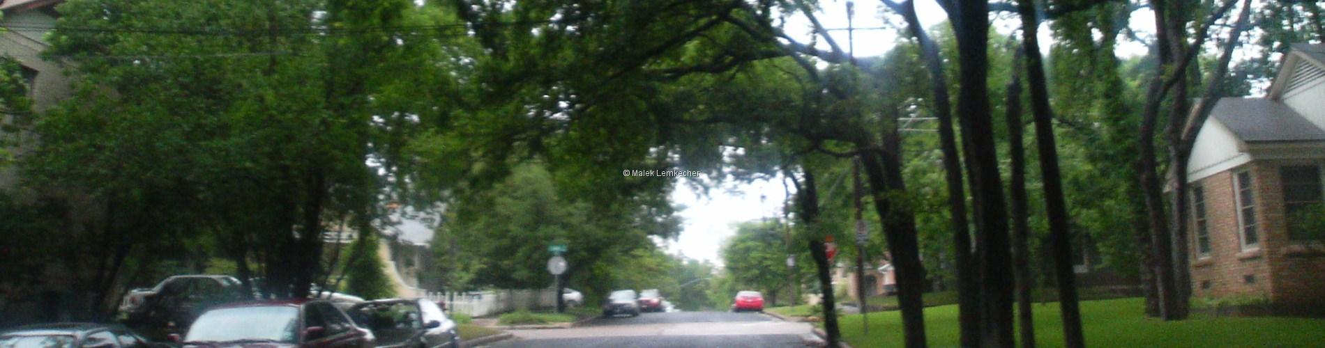 2007_01_Hyde Park, Austin